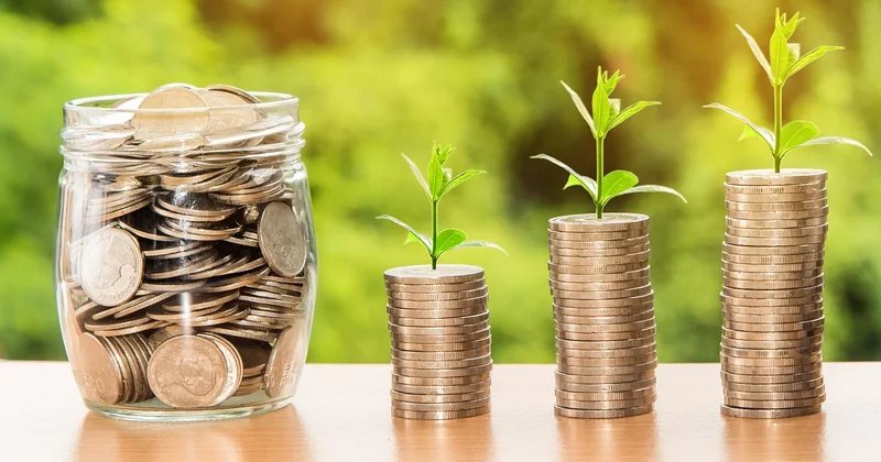 Croissance interne ou externe : le bon choix selon votre situation