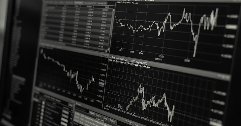 Taux URSSAF auto-entrepreneur deuxième année : ce qui change vraiment